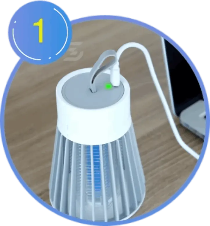 how to use BlitzyBug step 1